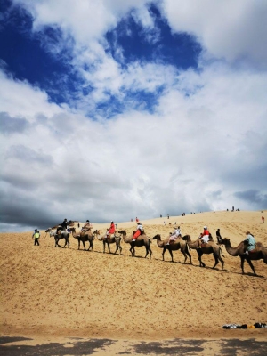 赤峰網(wǎng)約車(chē)工會(huì)電話號(hào)碼查詢-第1張圖片