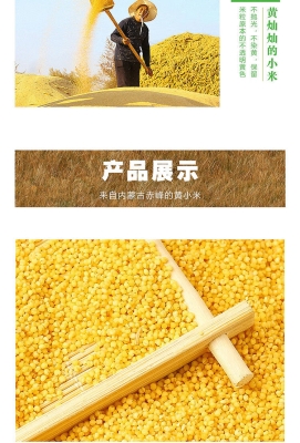 赤峰五谷批發(fā)電話地址查詢-第1張圖片