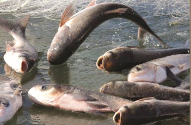 赤峰市紅山水庫(kù)招聘電話號(hào)碼-第1張圖片