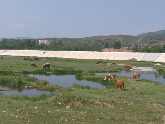 赤峰養(yǎng)殖場加濕機(jī)批發(fā)電話號碼-第1張圖片