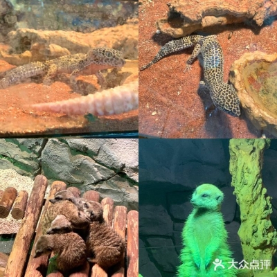 赤峰探店動(dòng)物園電話地址查詢(xún)-第1張圖片