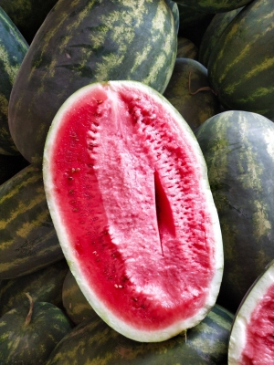 赤峰微波串批發(fā)商地址電話號碼-第1張圖片