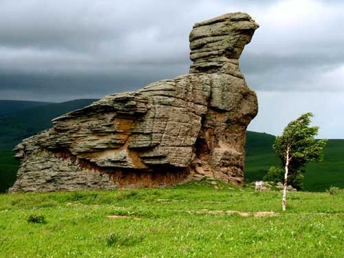 赤峰阿旗修面店電話號(hào)碼多少-第1張圖片