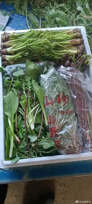 赤峰山野菜特產(chǎn)店電話號碼-第1張圖片