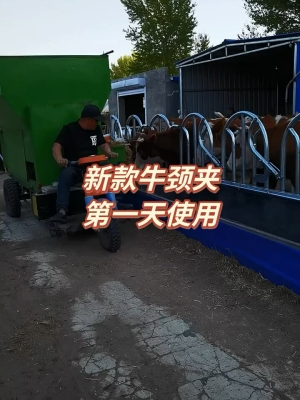 赤峰牛頸夾供貨商電話號碼-第1張圖片