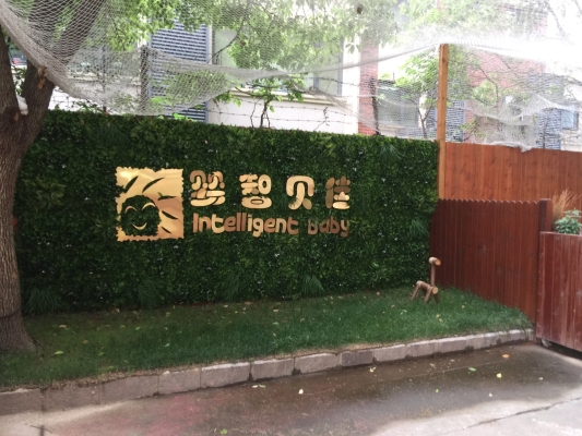 赤峰路附近早教班電話號碼-第1張圖片