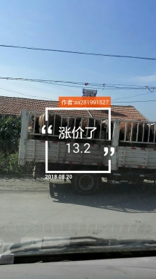 赤峰市電視臺(tái)直播電話號(hào)碼-第1張圖片