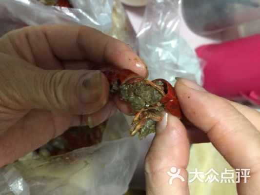 赤峰賣(mài)雞市場(chǎng)地址電話(huà)查詢(xún)號(hào)碼-第1張圖片