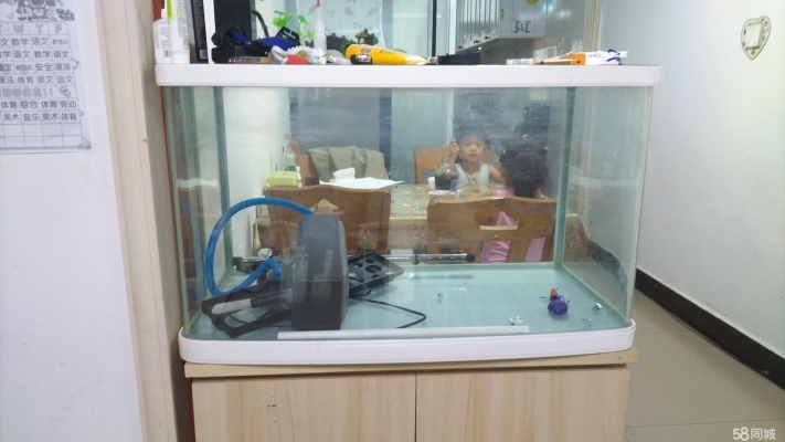 赤峰魚缸廠家批發(fā)-第1張圖片