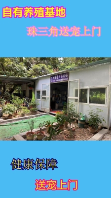 赤峰市孵化寵物基地電話號碼-第1張圖片