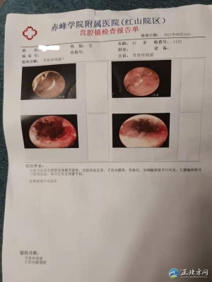 赤峰小兔子醫(yī)院電話號(hào)碼多少-第1張圖片