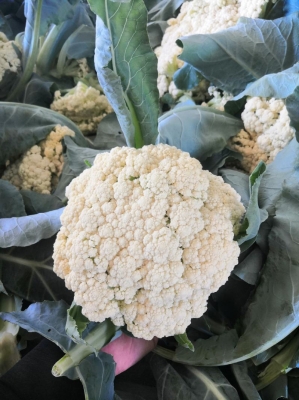 佳潤超市赤峰店電話號碼查詢-第1張圖片