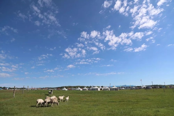 赤峰諾泊干洗店地址電話號碼-第1張圖片