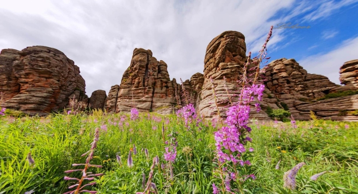 赤峰阿旗紋眉店電話號碼多少-第1張圖片