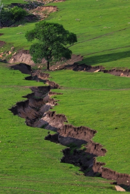赤峰木制巖芯箱廠家電話號(hào)碼-第1張圖片