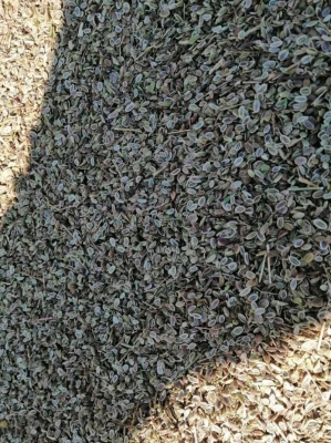 赤峰種子管理站電話號碼是多少-第1張圖片