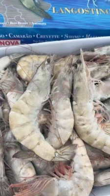 赤峰凍貨批發(fā)市場電話號碼-第1張圖片