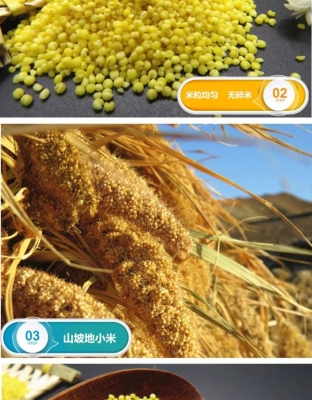 赤峰熱干面批發(fā)電話號(hào)碼多少-第1張圖片