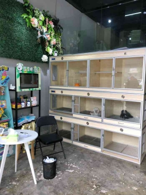 赤峰剪毛狗狗團購電話號碼查詢-第1張圖片