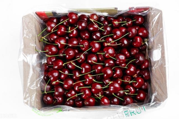 赤峰水果盒批發(fā)電話號(hào)碼查詢-第1張圖片