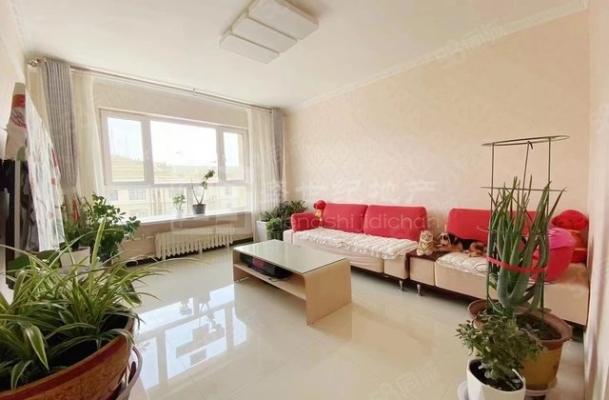 赤峰鐵南拍照穿搭店電話號(hào)碼-第1張圖片