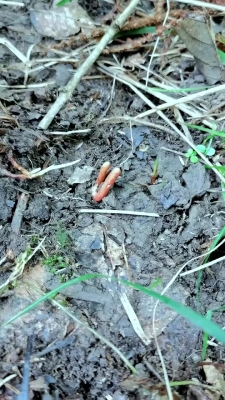 赤峰大蟲生態(tài)園電話號碼查詢-第1張圖片