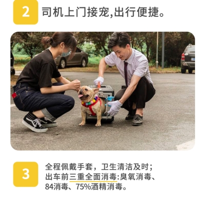 赤峰市寵物托運(yùn)部電話號(hào)碼-第1張圖片