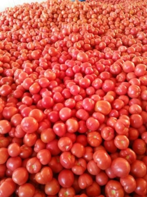 赤峰收購(gòu)輸送帶廠家電話號(hào)碼-第1張圖片