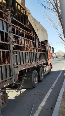 赤峰林西水暖店電話多少號-第1張圖片