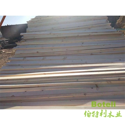 赤峰落葉松苗廠家電話號碼-第1張圖片