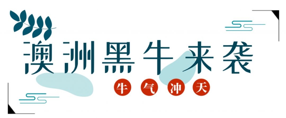 赤峰黑?？救獾觌娫捥柎a-第1張圖片