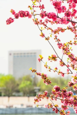 赤峰思卓諾達聯(lián)系電話號碼-第1張圖片