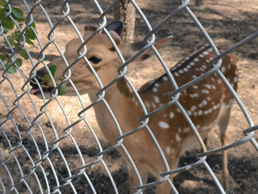 赤峰文鐘鎮(zhèn)垂釣園電話多少號(hào)-第1張圖片