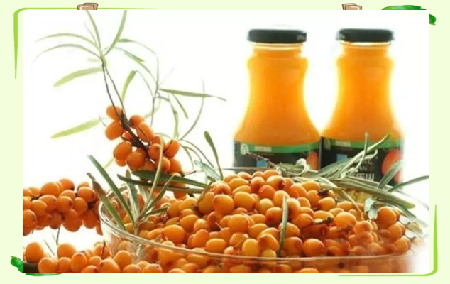 赤峰沙棘汁供應(yīng)商電話地址查詢-第1張圖片