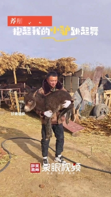 赤峰養(yǎng)驢托管電話多少號碼-第1張圖片