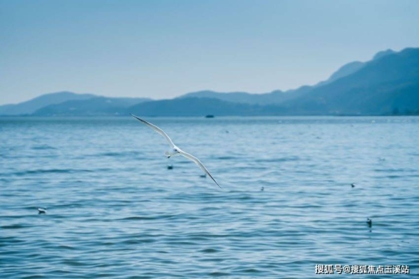 赤峰萬達(dá)攬境物業(yè)電話號(hào)碼-第1張圖片