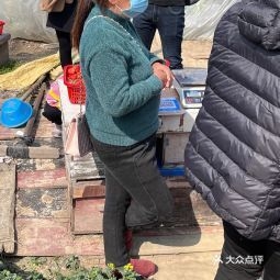 赤峰市王家店采摘園電話號碼-第1張圖片