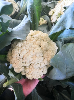 赤峰匯華超市電話號碼多少-第1張圖片