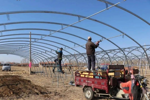 赤峰市林東鎮(zhèn)球館電話地址是多少-第1張圖片