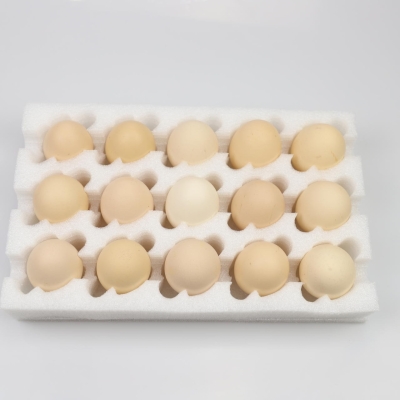 赤峰泡沫蛋托廠家電話地址查詢-第1張圖片