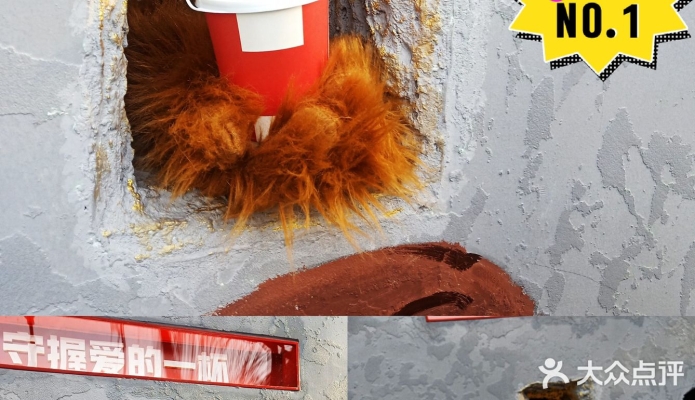 赤峰院子咖啡店電話號(hào)碼多少-第1張圖片