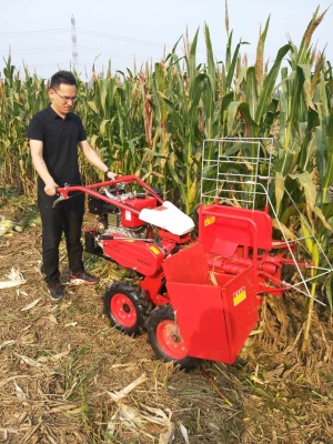 赤峰玉米披皮機(jī)廠家電話號(hào)碼-第1張圖片