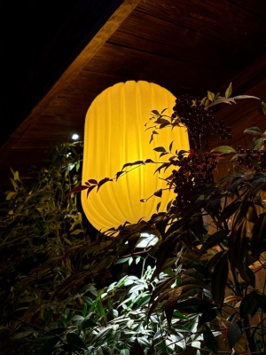 內(nèi)蒙古赤峰打鐵花店電話號碼-第1張圖片