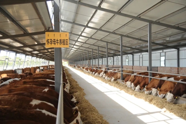 赤峰盆式注漿料廠家電話號碼-第1張圖片