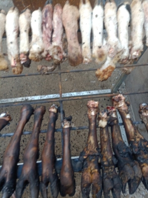 赤峰阿旗煙花廠電話多少號(hào)-第1張圖片