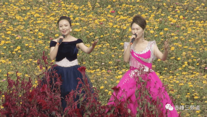 赤峰交響樂團聯(lián)系電話號碼-第1張圖片