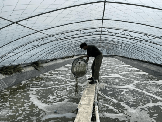 赤峰小棚焊接廠家電話號(hào)碼查詢-第1張圖片