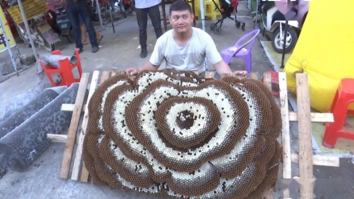 赤峰土蜂養(yǎng)殖基地電話多少號-第1張圖片