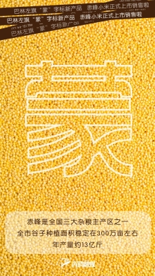 赤峰綠之坊小米店電話地址查詢-第1張圖片