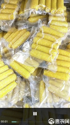 赤峰凍貨批發(fā)商家電話號碼-第1張圖片